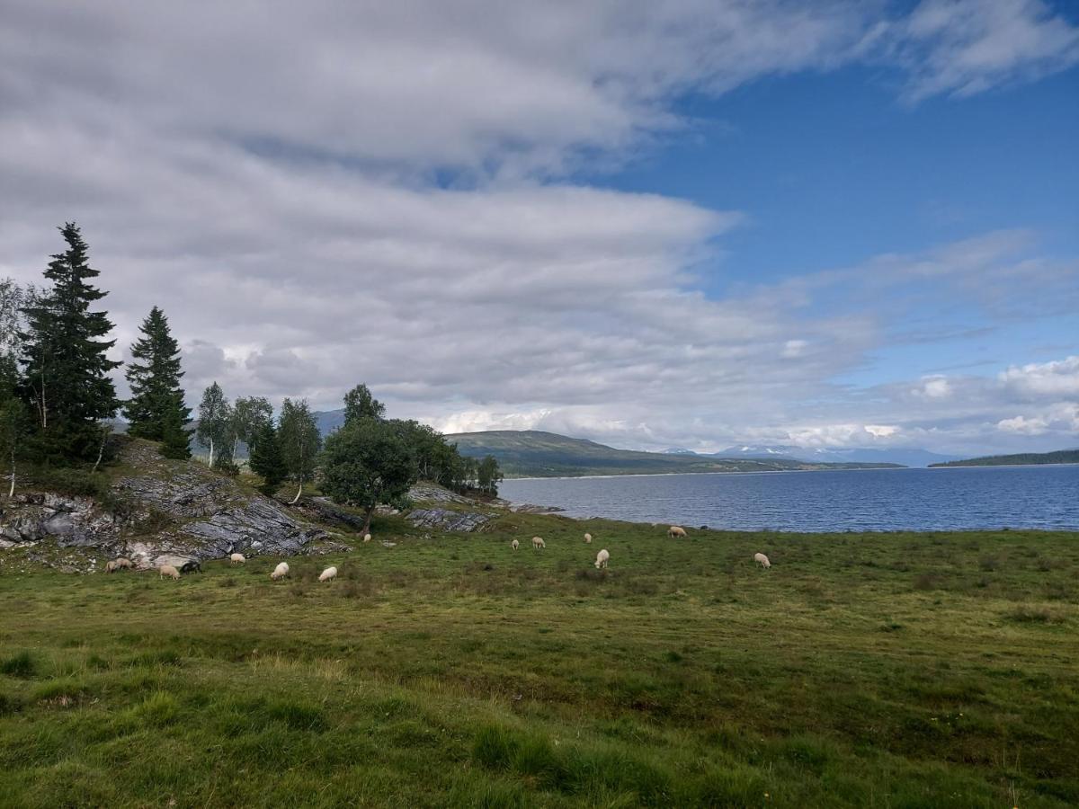 Villmarksgard, Hytte Ved Vannet Hattfjelldal Buitenkant foto