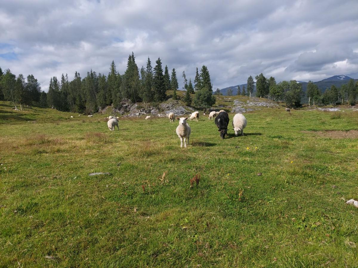 Villmarksgard, Hytte Ved Vannet Hattfjelldal Buitenkant foto