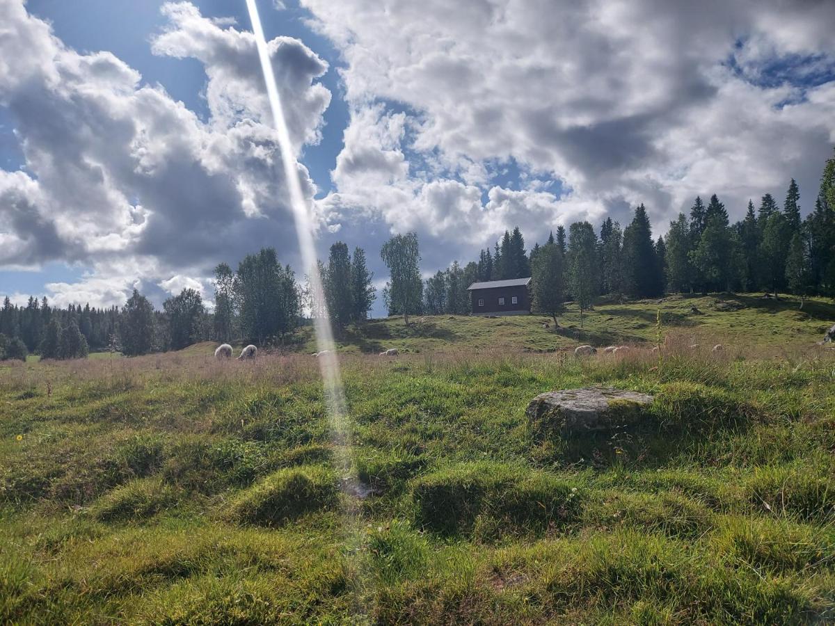 Villmarksgard, Hytte Ved Vannet Hattfjelldal Buitenkant foto