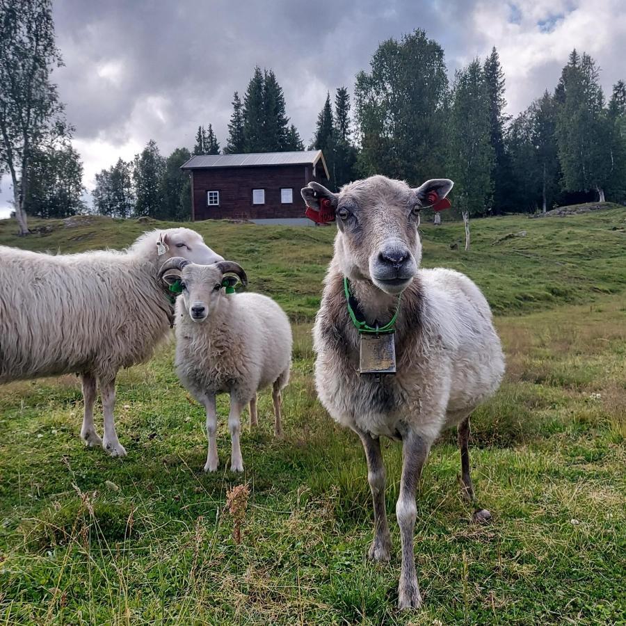 Villmarksgard, Hytte Ved Vannet Hattfjelldal Buitenkant foto